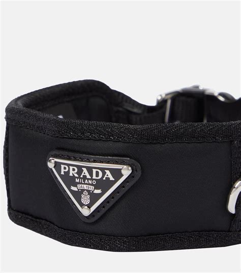 prada re nylon dog collar|expensive dog collars diamond.